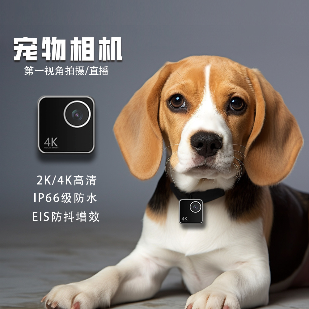 Cameras - Caméra intelligente pour collier de chat,